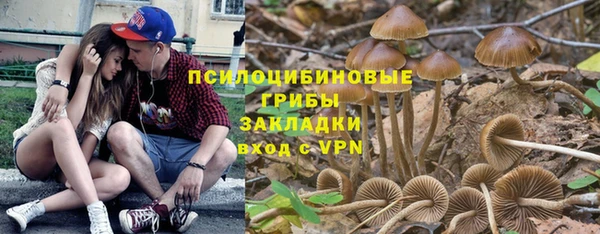 дмт Баксан
