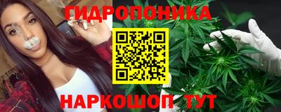 spice Будённовск