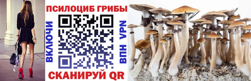 Псилоцибиновые грибы ЛСД  Вятские Поляны 